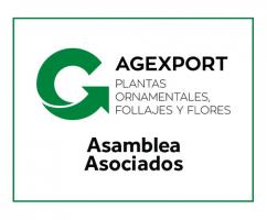 Asamblea Ornamentales