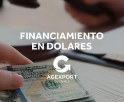 Lineas de financiamiento en dÃ³lares y medios de pago