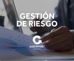 GestiÃ³n de Riesgo