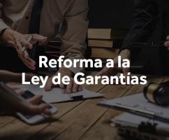 Ley de GarantÃ­as