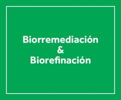 BIORREMEDIACIÃ“N & BIOREFINACIÃ“N