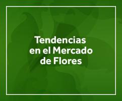Tendencias en el mercado de flores y follajes para Estados Unidos y Europa