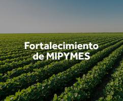 FORTALECIMIENTO DE MIPYMES