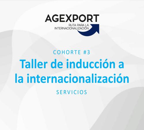Taller de inducción a la internacionalización de servicios
