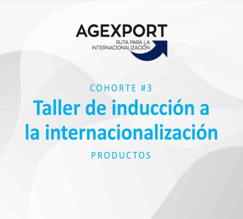 Taller de inducción a la internacionalización de productos