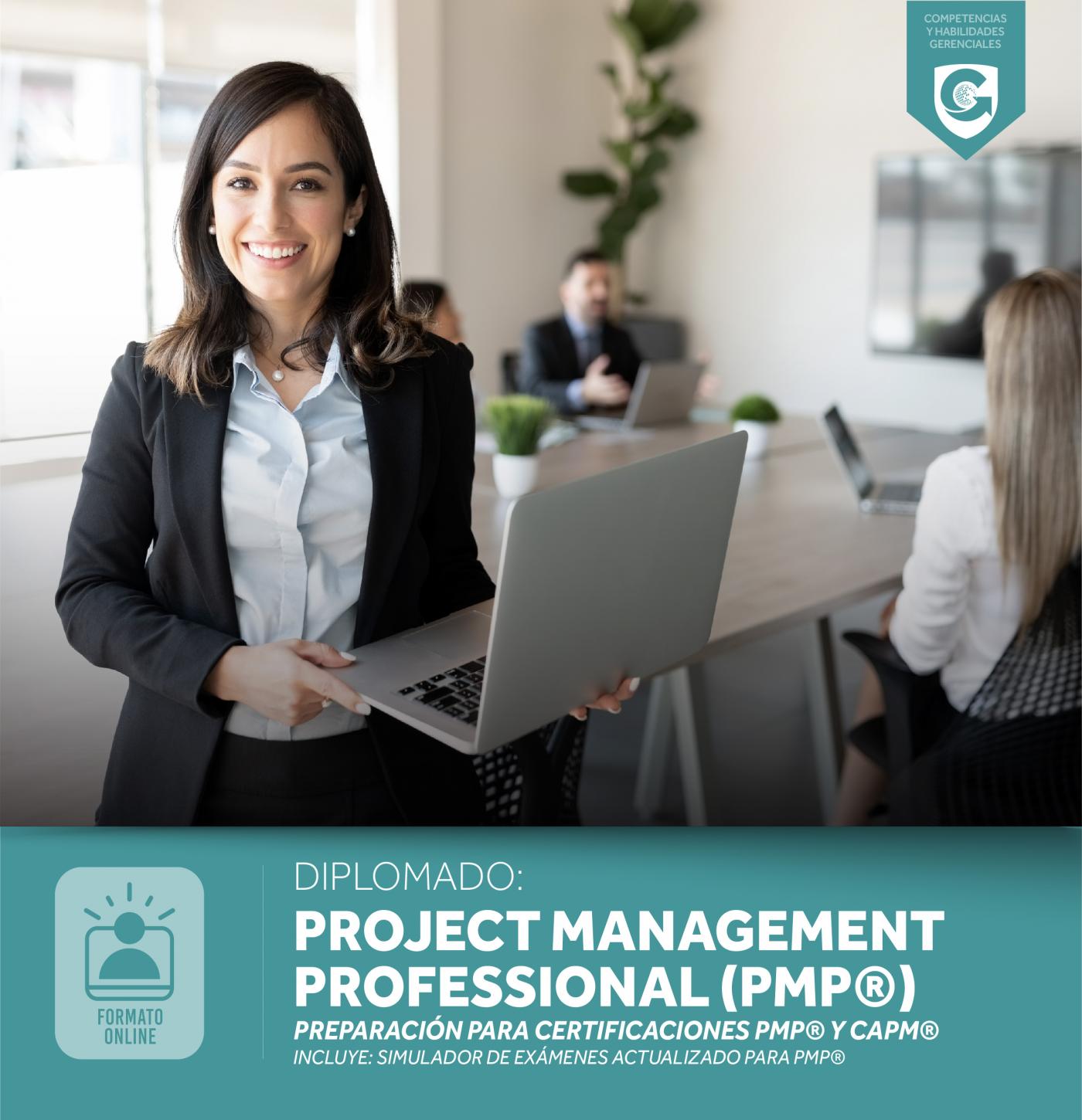 Diplomado PROJECT MANAGEMENT PROFESSIONAL