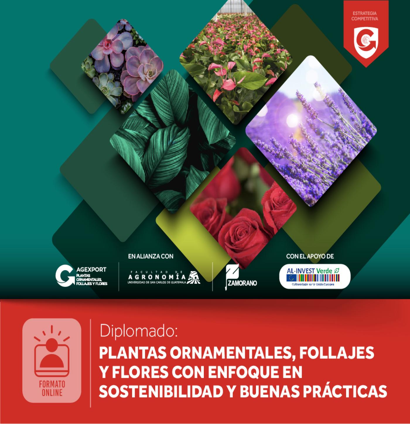 PLANTAS ORNAMENTALES, FOLLAJES Y FLORES CON ENFOQUE EN SOSTENIBILIDAD Y BUENAS PRÁCTICAS