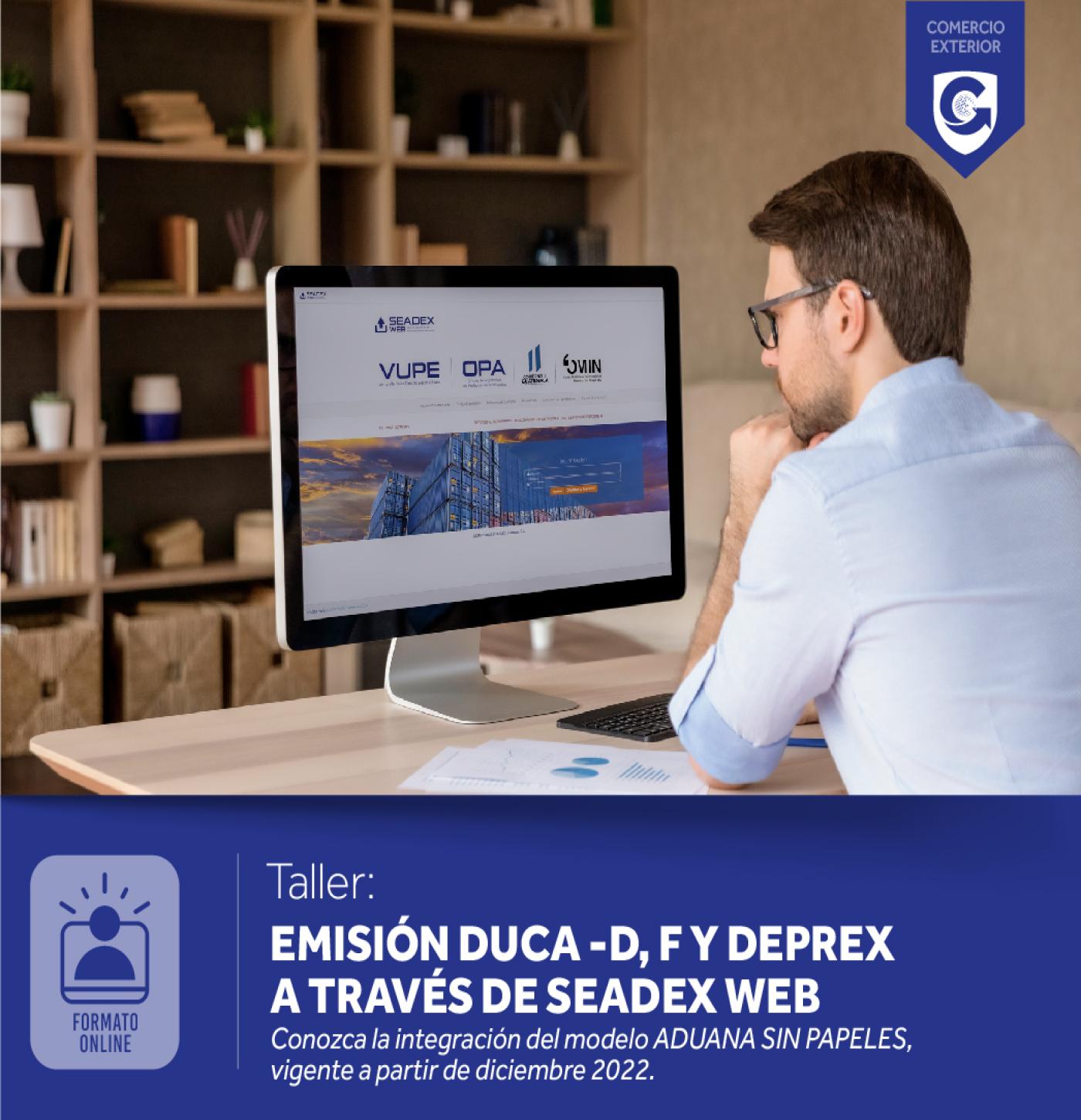Taller: EMISIÓN DUCA D, F Y DEPREX A TRAVÉS DE SEADEX WEB