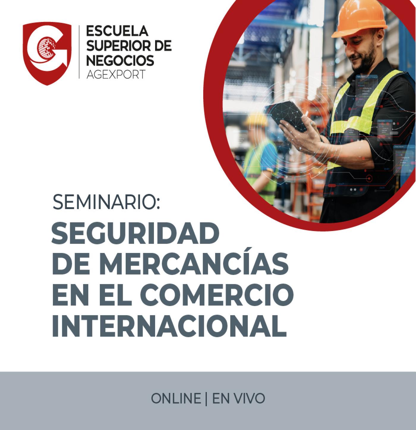 SEGURIDAD DE MERCANCÍAS EN EL COMERCIO INTERNACIONAL