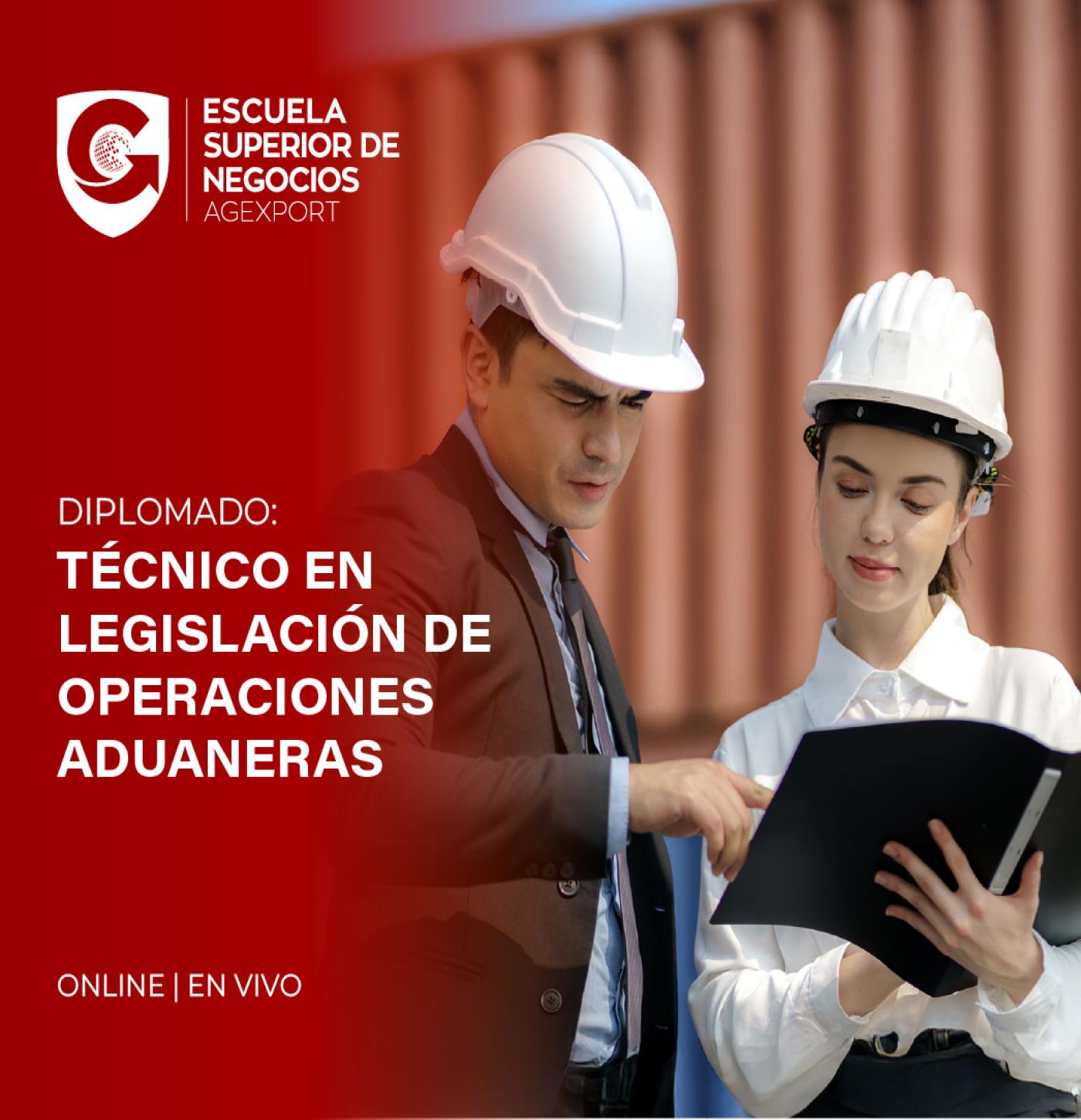 TÉCNICO EN LEGISLACIÓN ADUANERA
