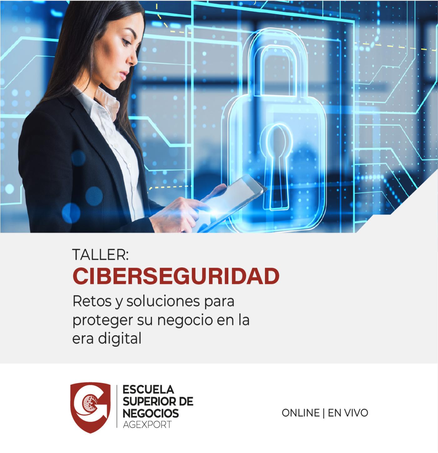 CIBERSEGURIDAD