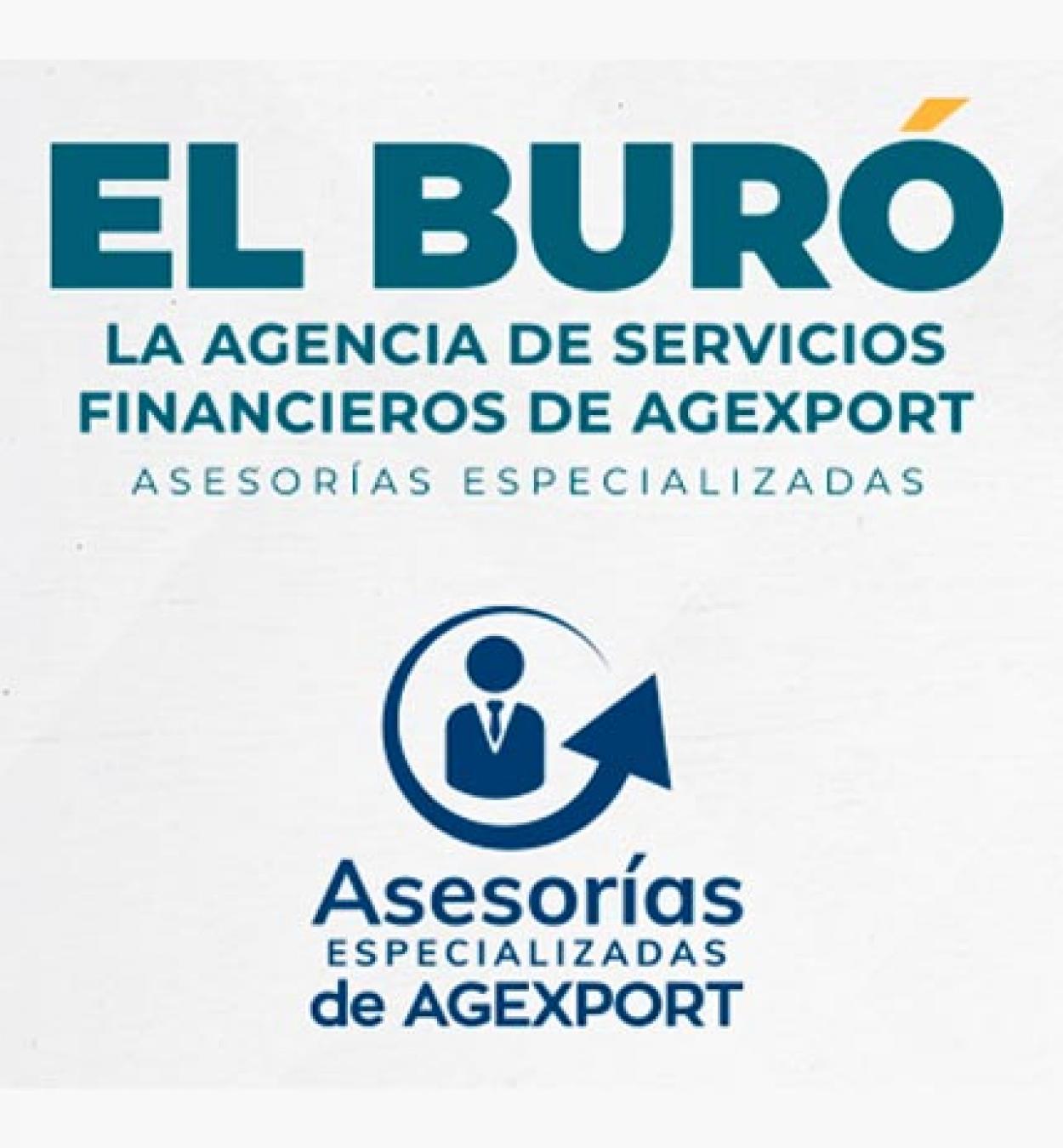 LEASING FINANCIERO