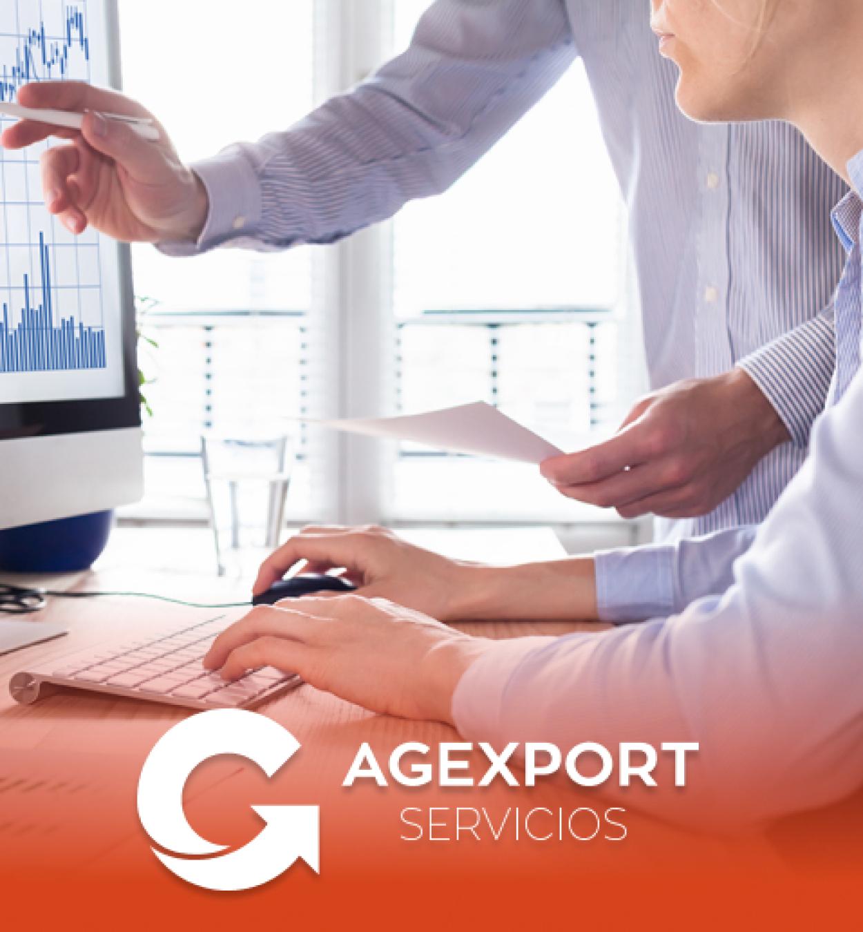 Sector Servicios