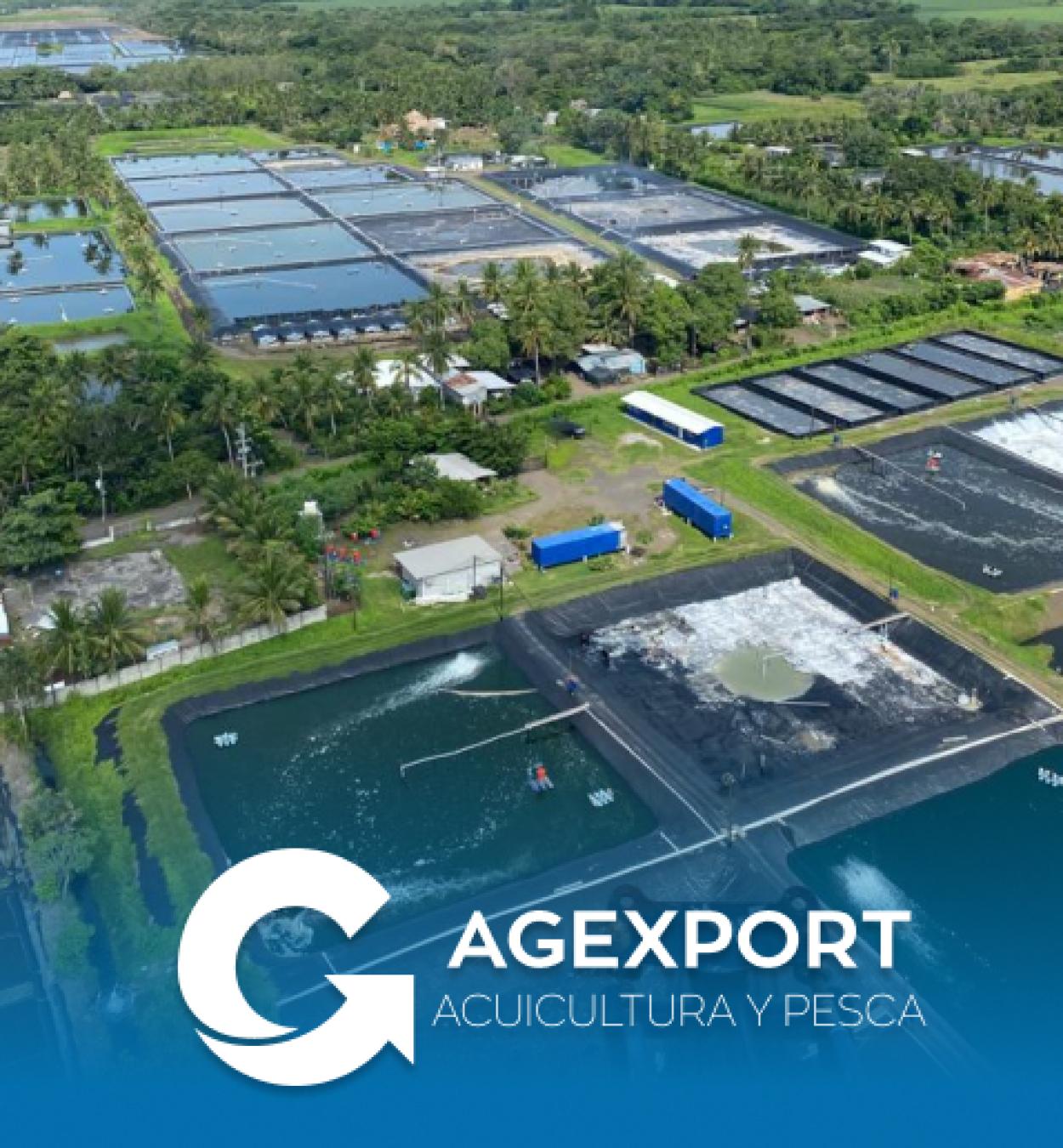 Sector Acuicultura y Pesca