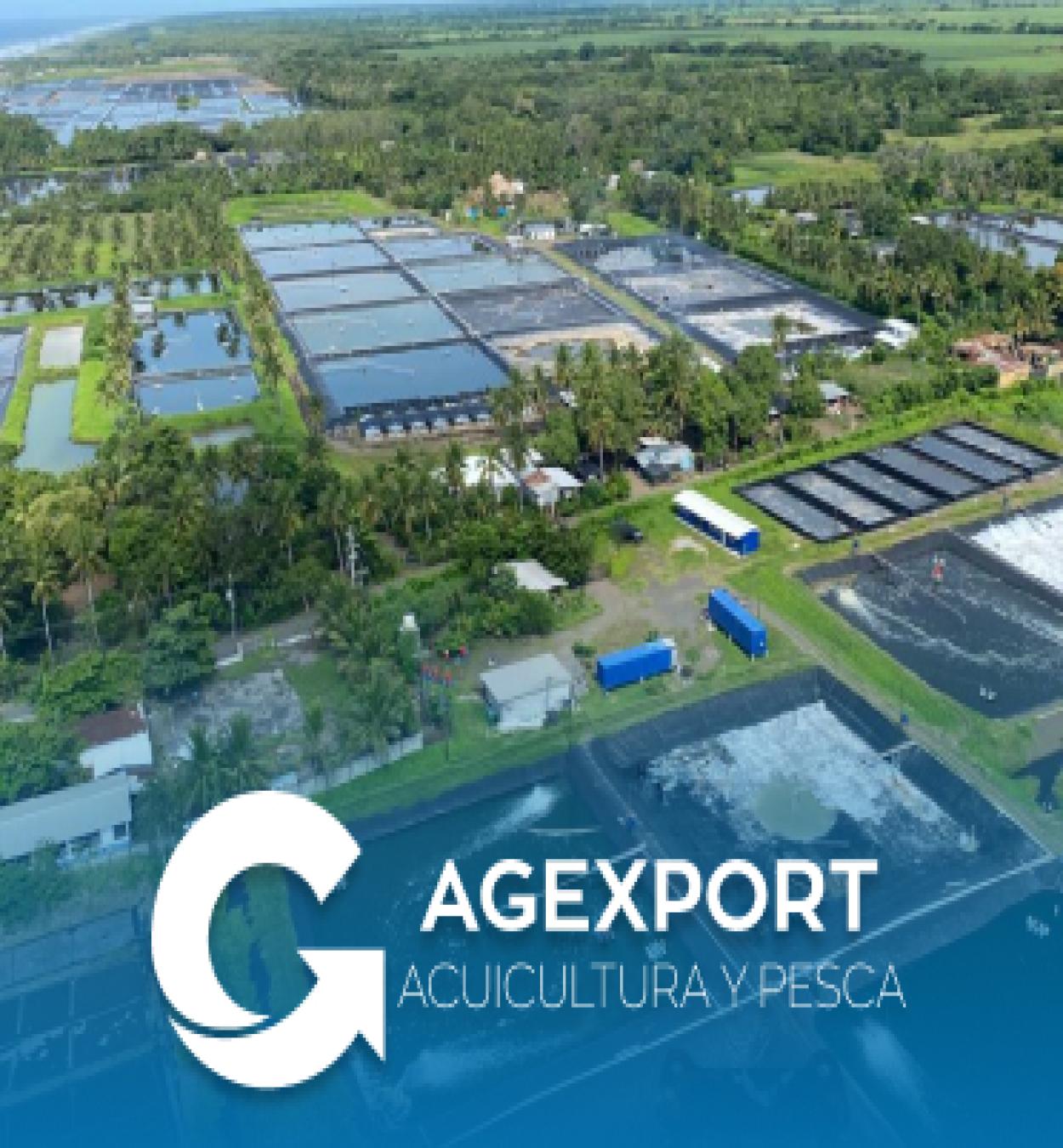 Sector Acuicultura y Pesca