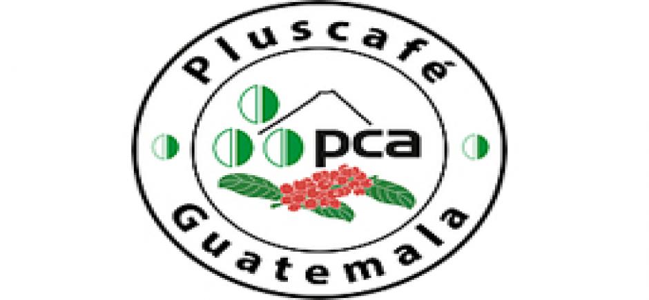 Pluscafe Guatemala