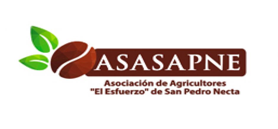 ASASAPNE