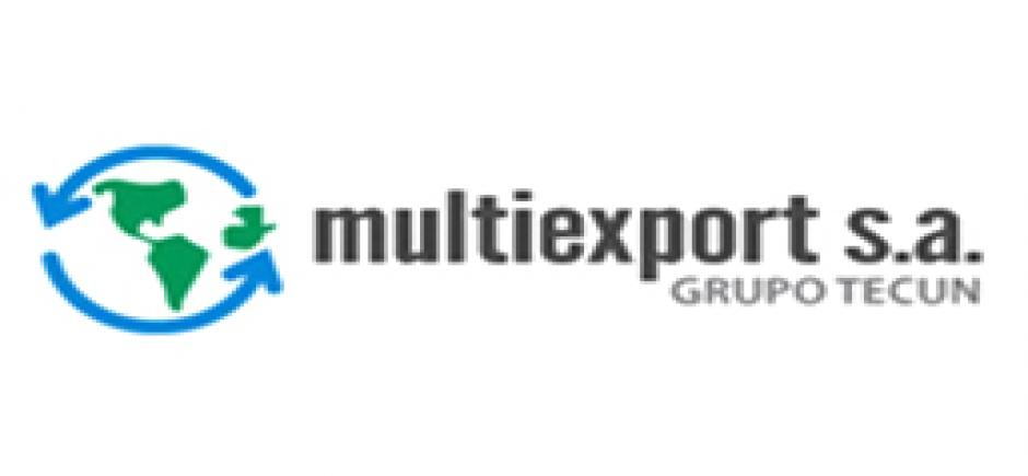 MULTIEXPORT