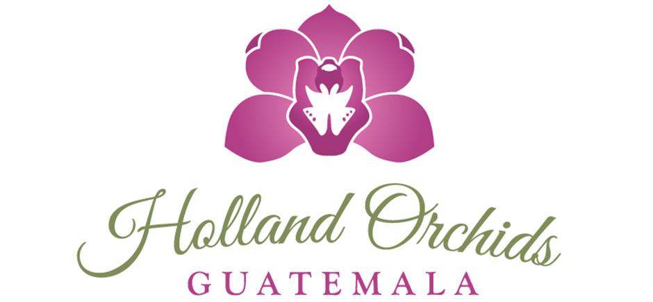 Holland Orchides