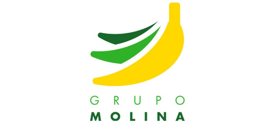 Grupo Molina
