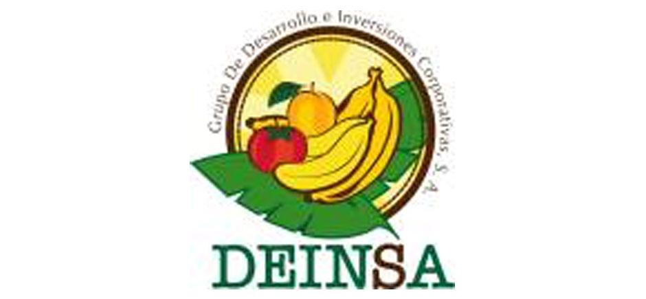 Deinsa