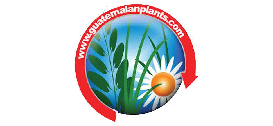 Guatemalan Plants