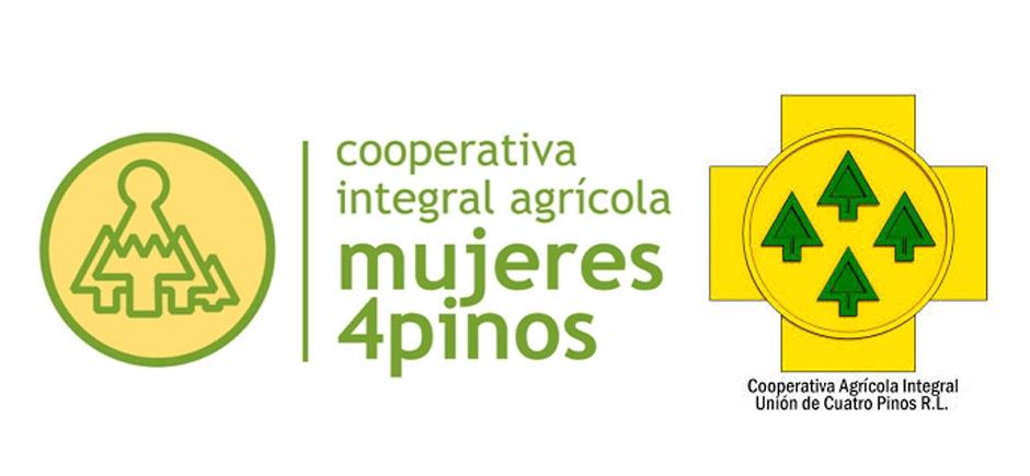 4 Pinos