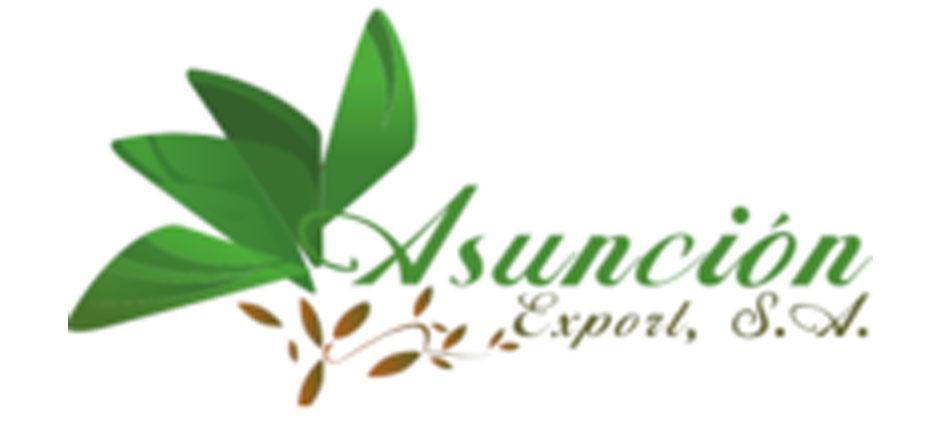 Asuncion Export