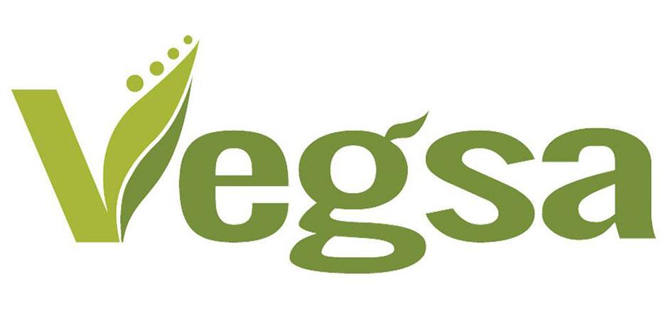 Vegsa