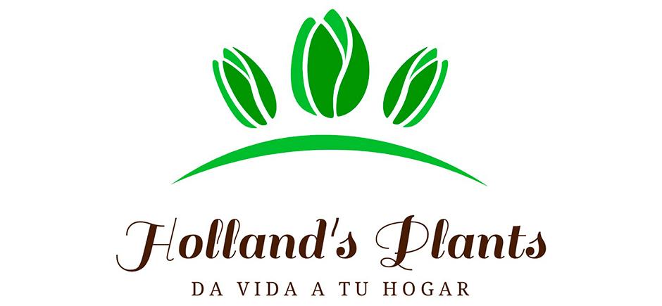 hollands plants