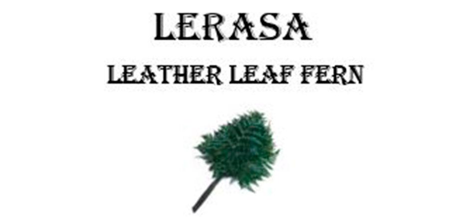 lerasa