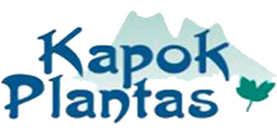 kapok