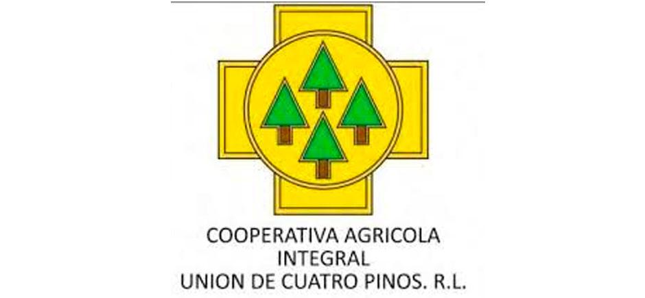 4 PINOS