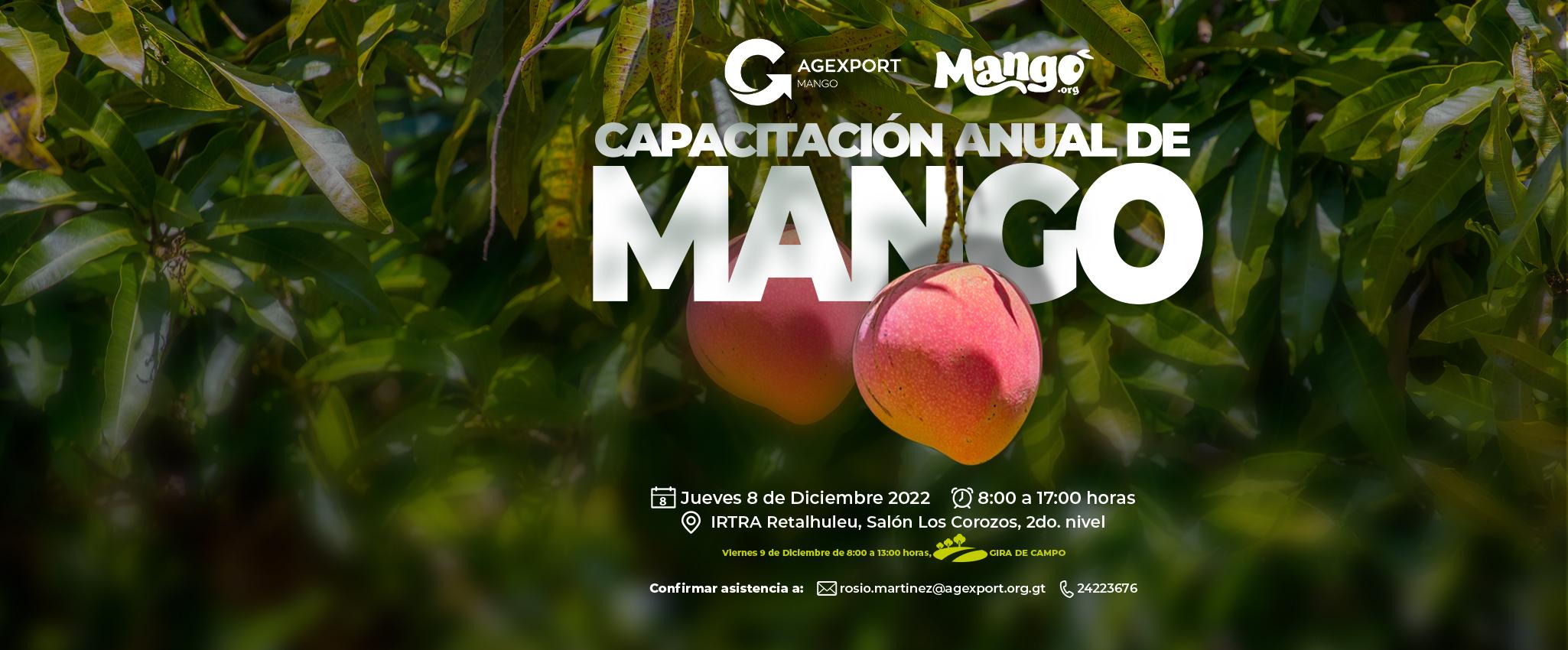 Capacitación anual de mango