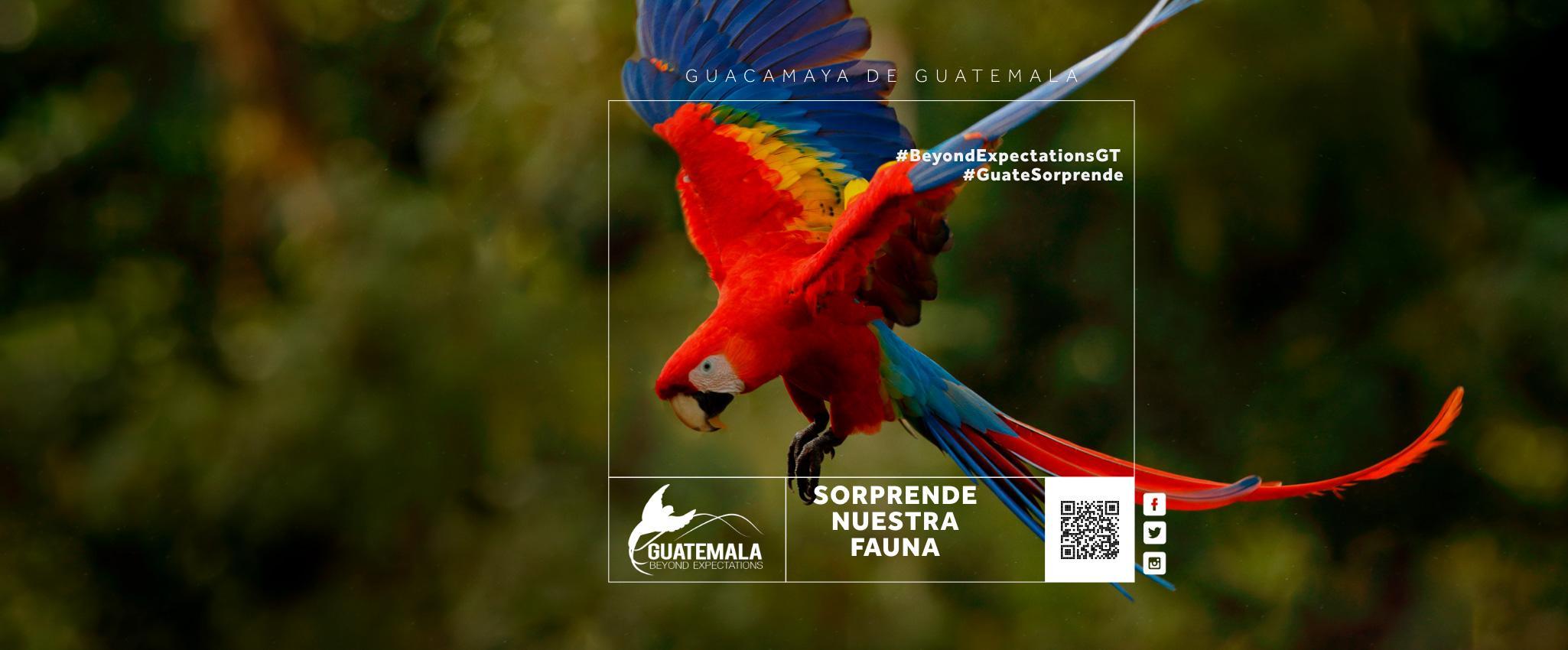 Guatemala Beyond Expectacions
