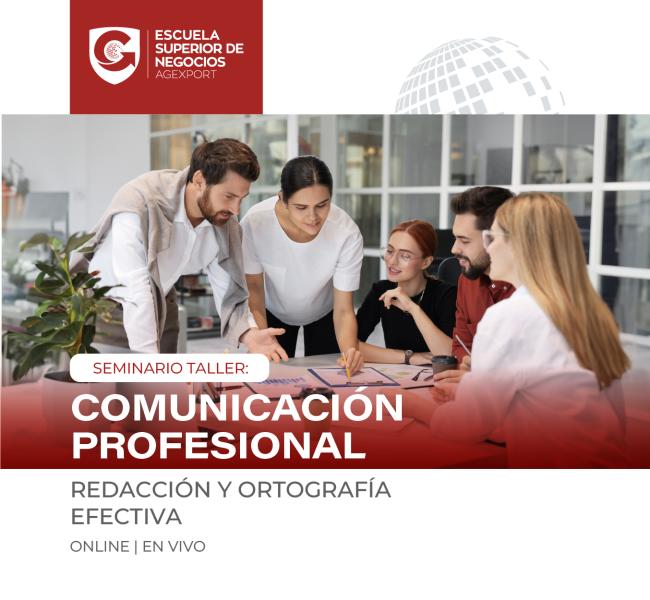 COMUNICACIÓN PROFESIONAL: REDACCIÓN Y ORTOGRAFÍA EFECTIVA