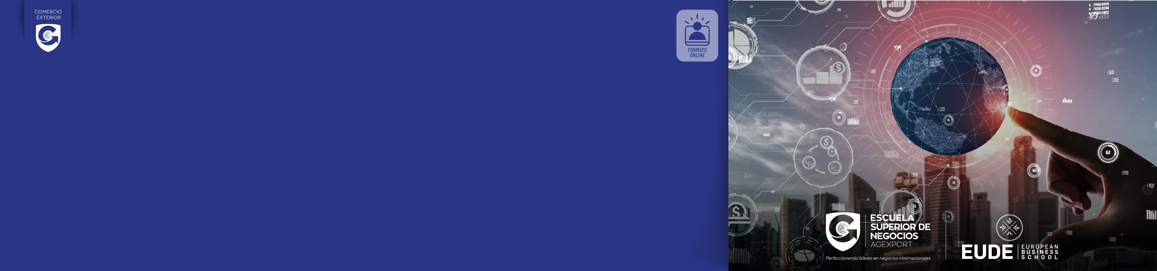 Maestria_header cursos.jpg COMERCIO