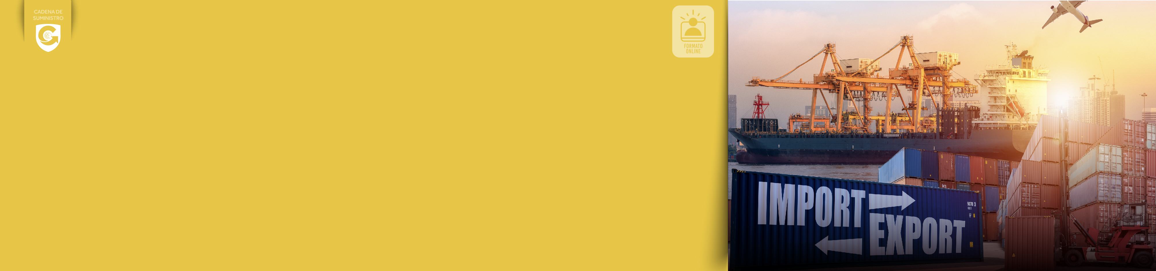 Operatividad y tramitología_header cursos.jpg import export