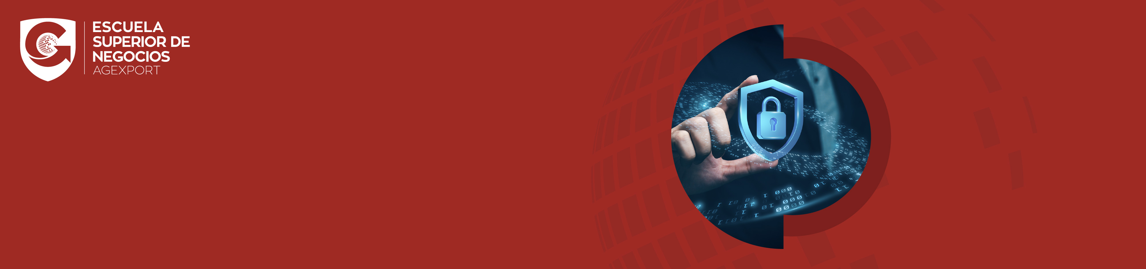 Ciberseguridad_header cursos.jpg Ciberseguridad