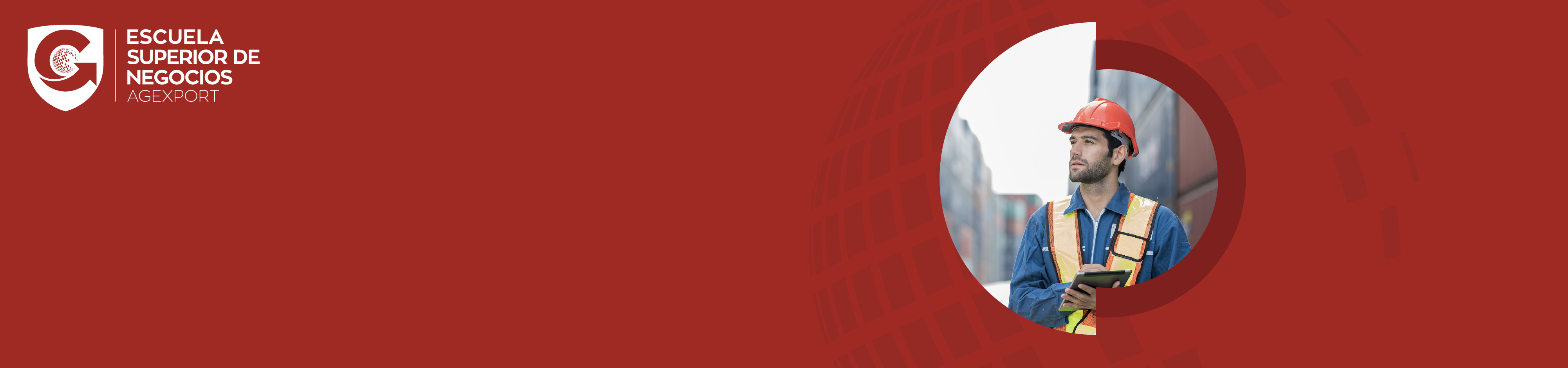 EOA_header cursos.jpg SISTEMA DE GESTIÓN EN CONTROL Y SEGURIDAD OEA