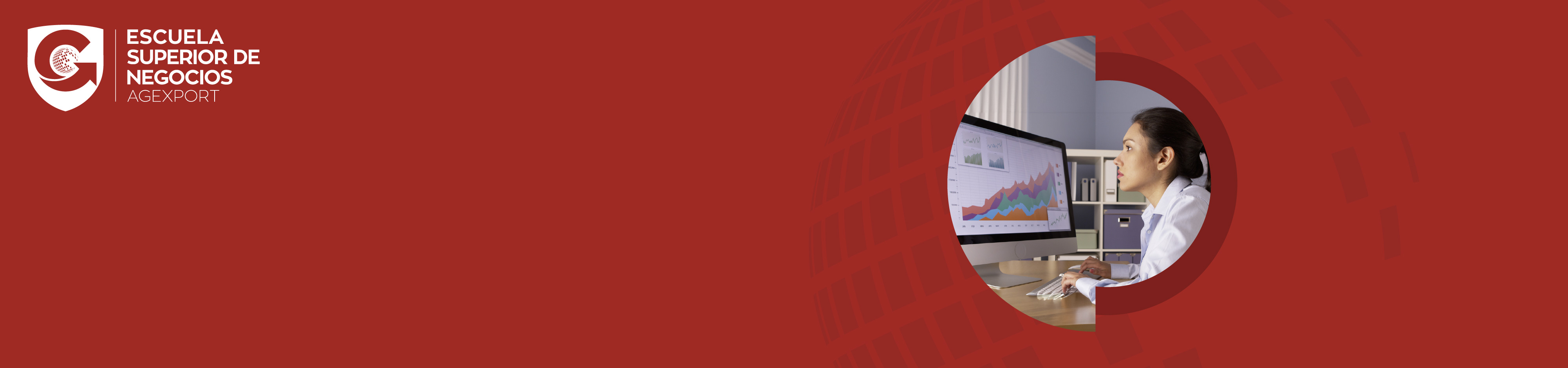Excel_header cursos.jpg Excel para business analyts
