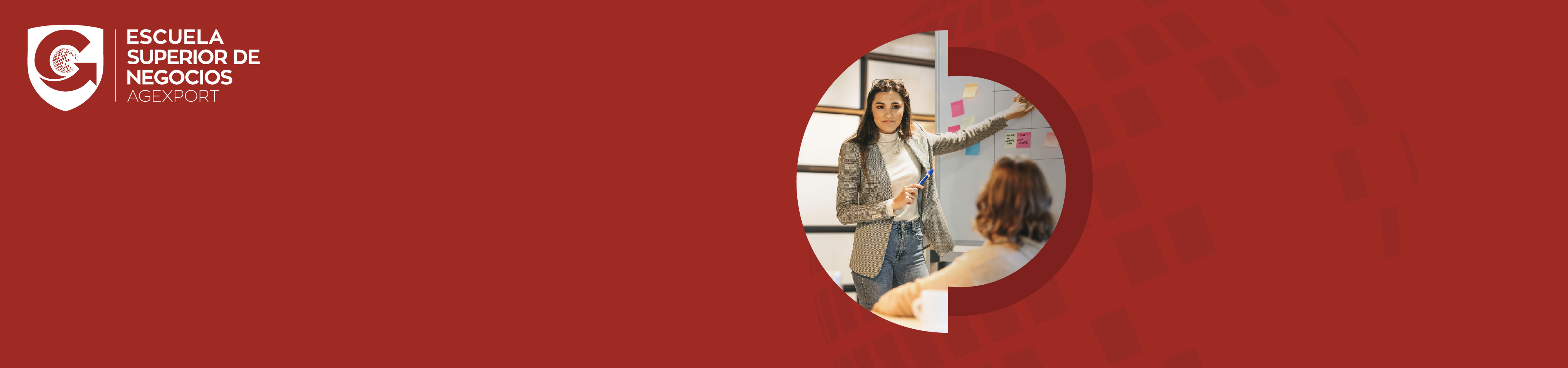 Proyectos_header cursos.jpg Desarrollo y gestión de proyectos