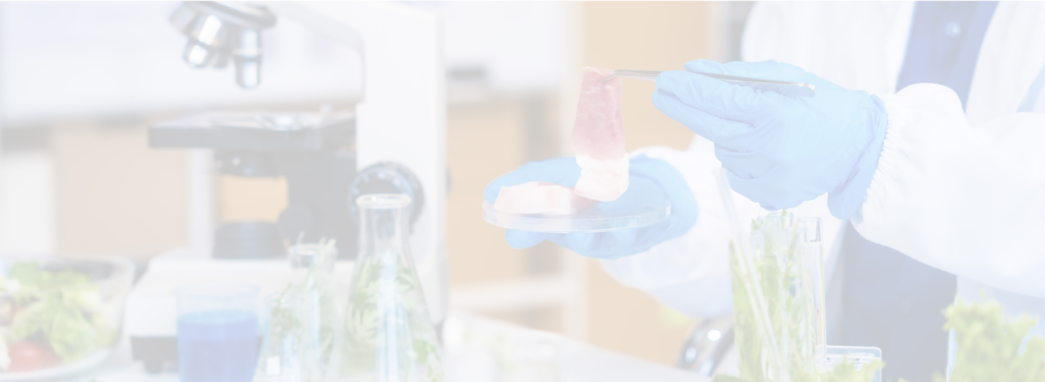 HACCP PARA PROCESADORES