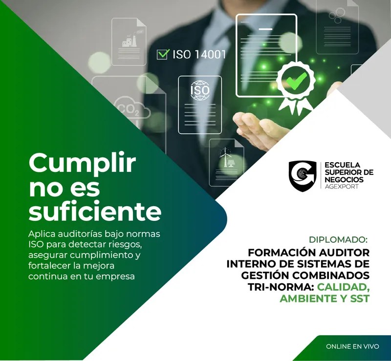 formación de auditor interno de sistemas de gestión combinados ISO 9001, ISO 14001, ISO 45001
