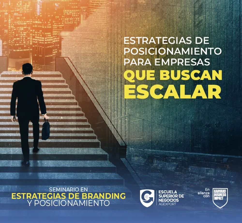 ESTRATEGIAS DE BRANDING Y POSICIONAMIENTO