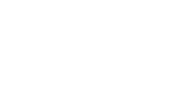 DLZ Foods