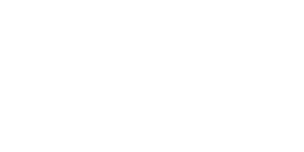 El Zapote Brewing Company