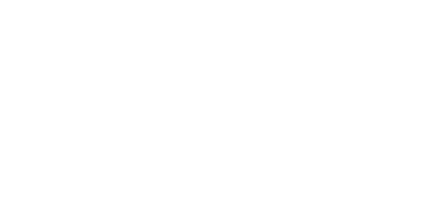 ES Consulting