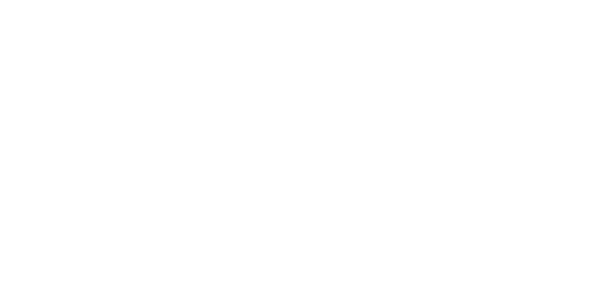 Forza Delivery Express