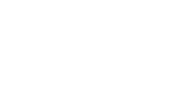 LOAD Logística y Aduanas